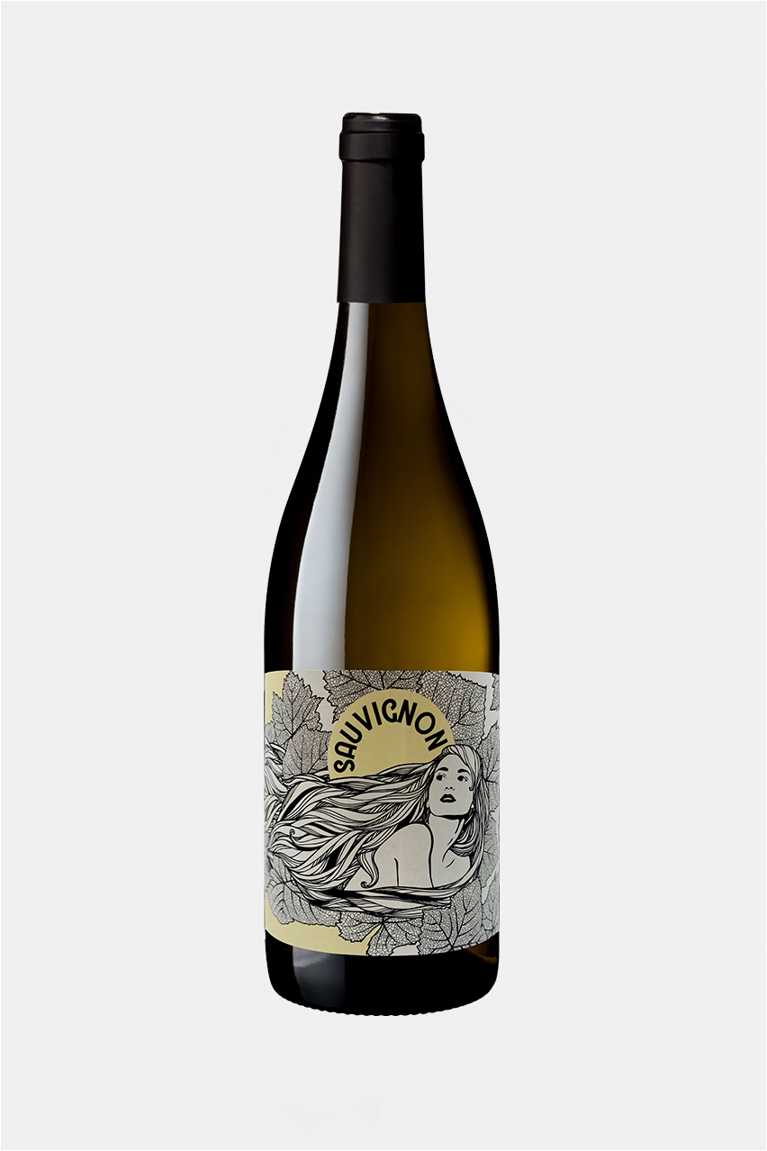 Вино белое сухое Вал де Луар Совиньон Юто Буланже / Sauvignon Val de Loire La Muse