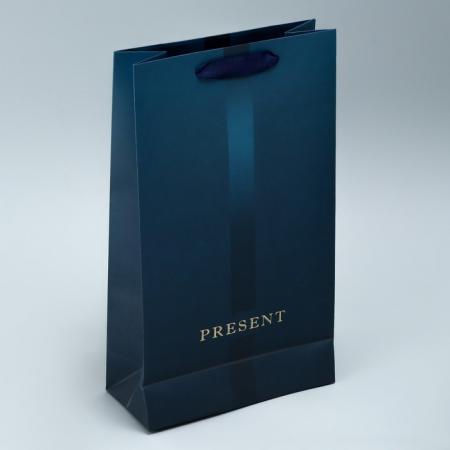 Пакет на две бутылки "Present" 35*20*9