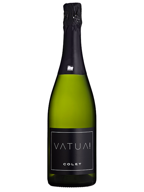 Колет Ватуа Экстра Брют Пенедес / Colet Vatua Extra Brut Penedes