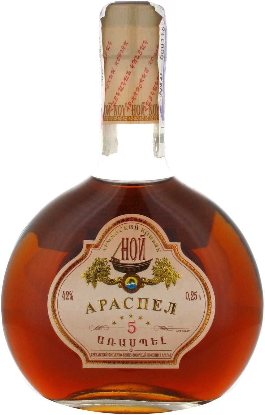 Ной Араспел 5-летний / Noy Araspel 5 Years Old