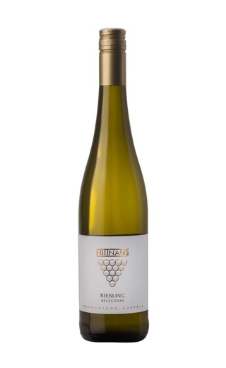 Вино белое сухое Ниттнаус Рислинг Селекшн / Nittnaus Riesling Selection