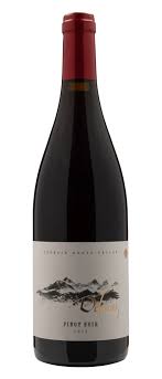 Вино сухое красное Пино Нуар ИГП От Валле де л'Од / Domaine Delmas Pinot Noir